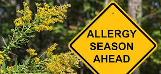 5 Proven Ways to Fight Seasonal Allergies Quickly